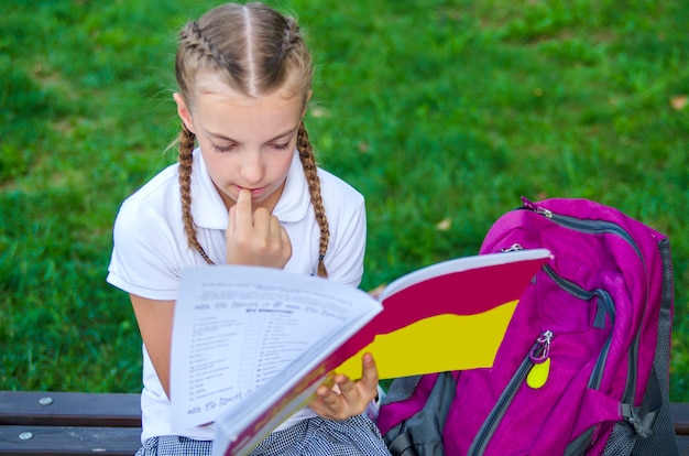 Mała dziewczynka w białym koszulowym obsiadaniu i czytaniu książka Rozważny dziecko na szkolnym jarda benc