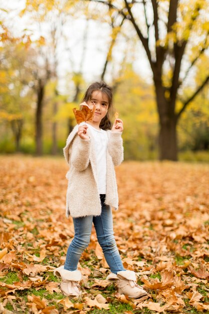 Mała dziewczynka w jesień parku