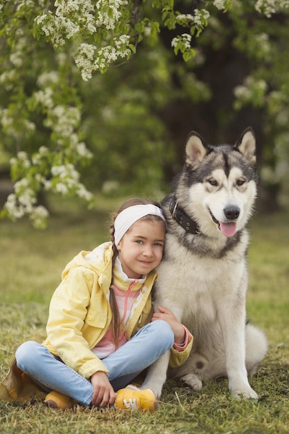 Mała dziewczynka w kolorowych ubraniach ze swoim zwierzakiem zabawnym przyjacielem malamute alaskan dog