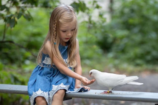 Mała dziewczynka z długimi blond włosami karmi białą gołębicę w parku