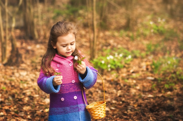 mała dziewczynka zbiera przebiśnieg w lesie