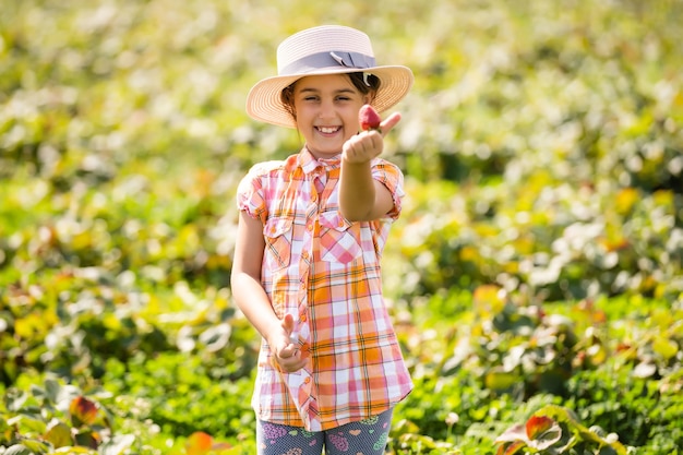 mała dziewczynka zbiera truskawki na polu