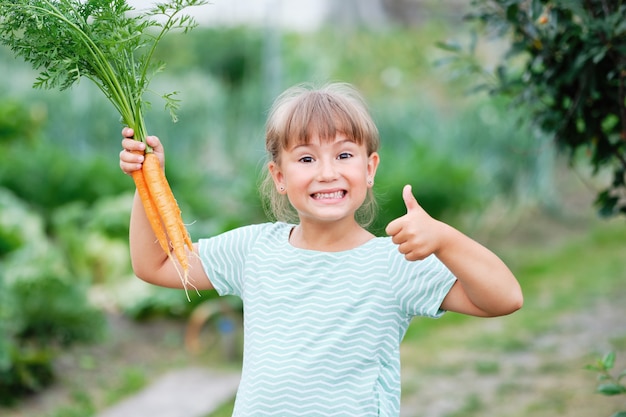 Mała dziewczynka zbieranie marchewek w ogrodzie. Jesienne zbiory warzyw.