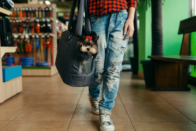 Mała dziewczynka ze swoim szczeniakiem w torbie, sklep zoologiczny. Kupowanie sprzętu dla dzieci w sklepie zoologicznym, akcesoria dla zwierząt domowych