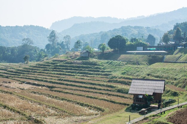 Mała kwatera prywatna w ryżu w Mae Klang Luang w Chiang Mai w Tajlandii