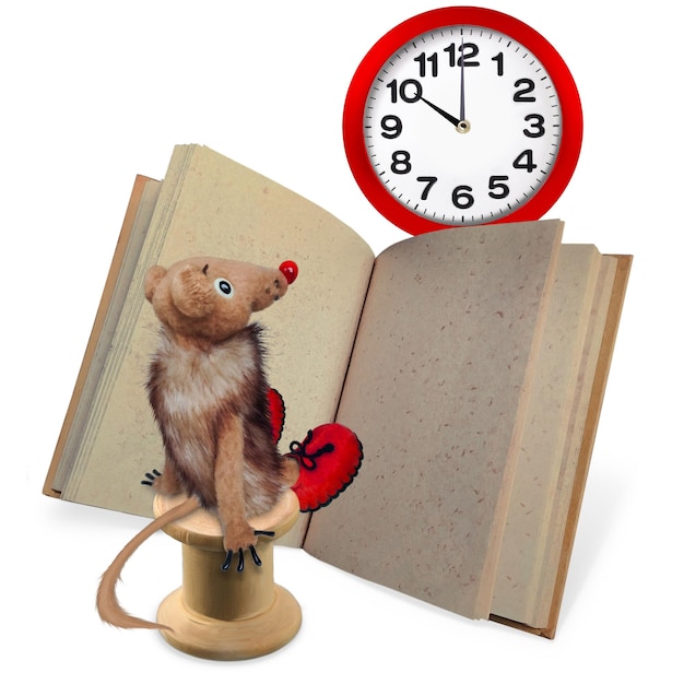 Zdjęcie mała mysz z książką
