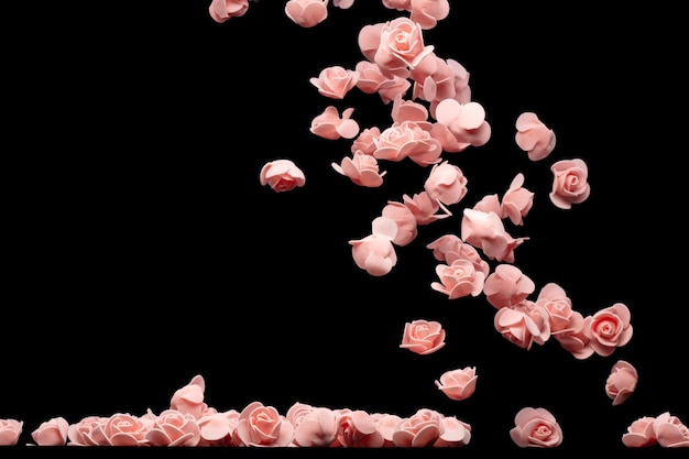 Mała różowa kwiatka wybuchła Wiele styrofoamowych róż prezentuje Miłość romantyczna ślubna walentynka Sztuczna piana różowa róża lata w powietrzu Czarne tło izolowane selektywne rozmycie ostrości