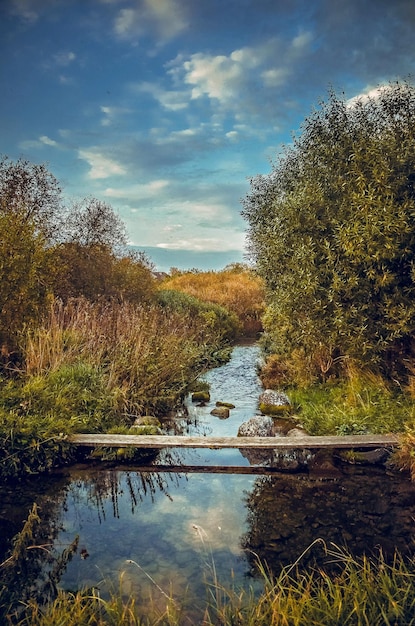 Mała Rzeka I Drewniany Most