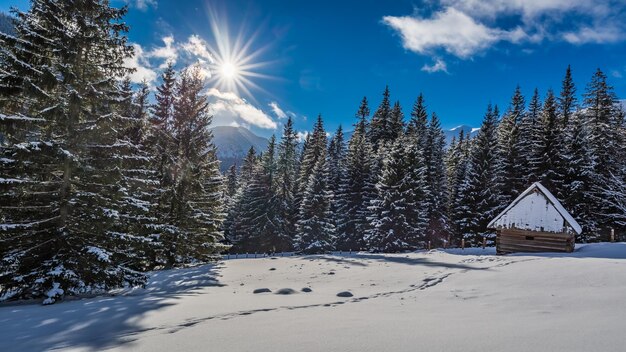 Mała śnieżna kabina w zimie o wschodzie słońca Tatry Polska