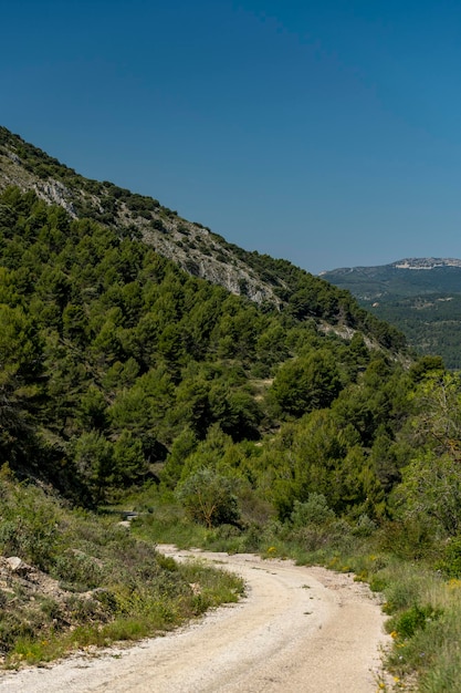 Mała żwirowa górska droga przechodząca przez pasmo górskie Costa Blanca Alicante Hiszpania