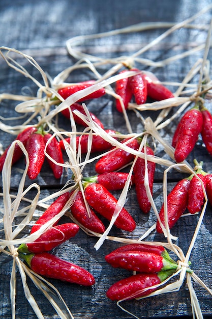 Małe Czerwone Chilli Pikantne