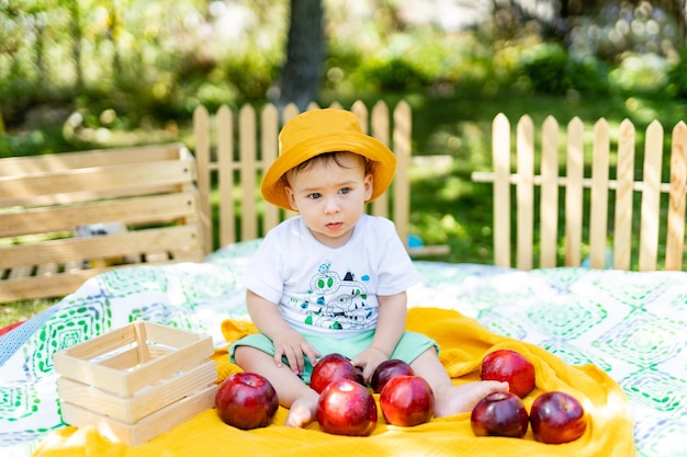 Małe dziecko cieszy się piknikiem otoczonym świeżymi jabłkami Mały chłopiec siedzący na koce z jabłkami
