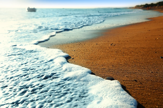 Małe Fale Na Plaży