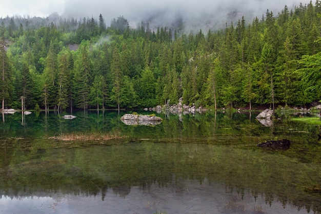 Małe górskie jezioro leśne we francuskich Alpach (mglisty letni poranek)