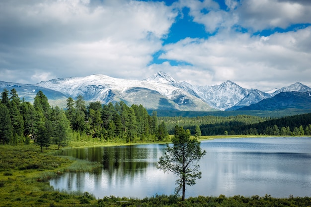 Małe Jezioro Na Trawie I Puszyste Chmury Nad Zielonymi łąkami I Ośnieżonymi Szczytami. Highland Lake, Altay, Syberia