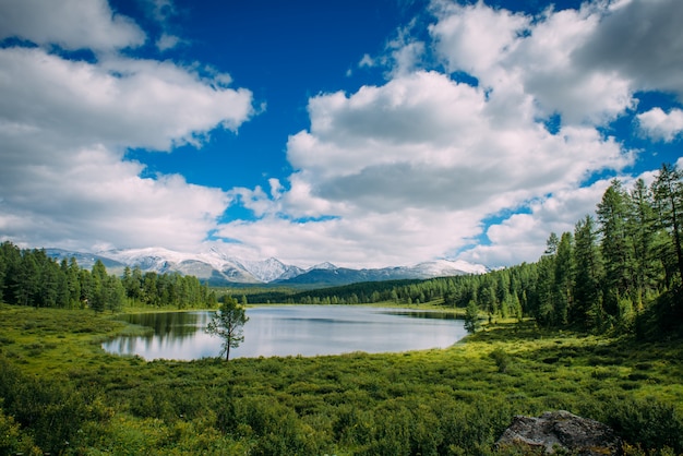 Małe jezioro na trawie i puszyste chmury nad zielonymi łąkami i ośnieżonymi szczytami. Highland lake, Altay, Syberia.