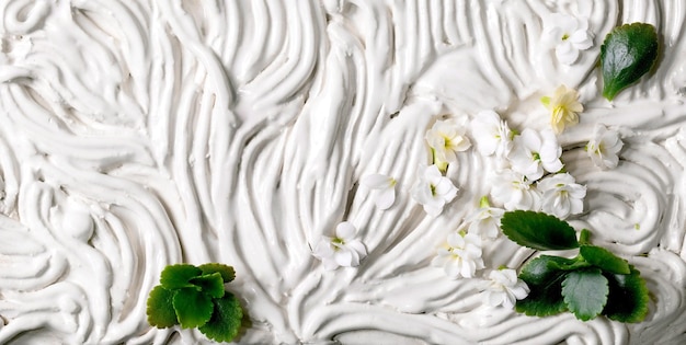 Małe piękne białe kwiaty Kalanchoe i zielone liście na białym kwiatowym ozdobnym ceramicznym panno Płaskie świeckie tło kwiatowe Rozmiar banera
