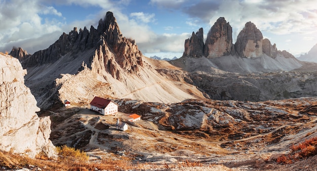 Małe rośliny na skałach. Znakomity krajobraz majestatycznych gór Dolomitu Seceda w ciągu dnia. Zdjęcie panoramiczne