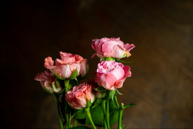 Małe różowe róże