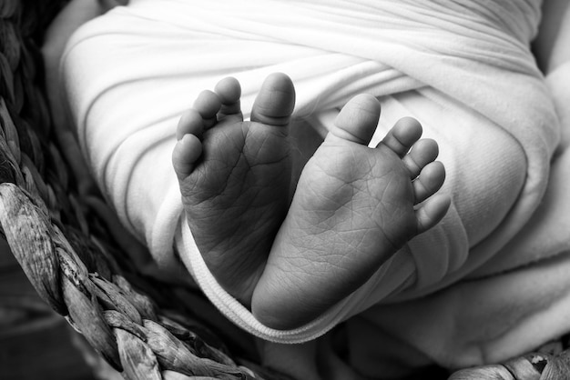Małe słodkie bose stopy małego noworodka dziewczynki lub chłopca w wieku dwóch tygodni owinięte w miękki i przytulny kocyk Profesjonalne studio makrofotografii noworodka Palce stóp, obcasy Czarno-białe