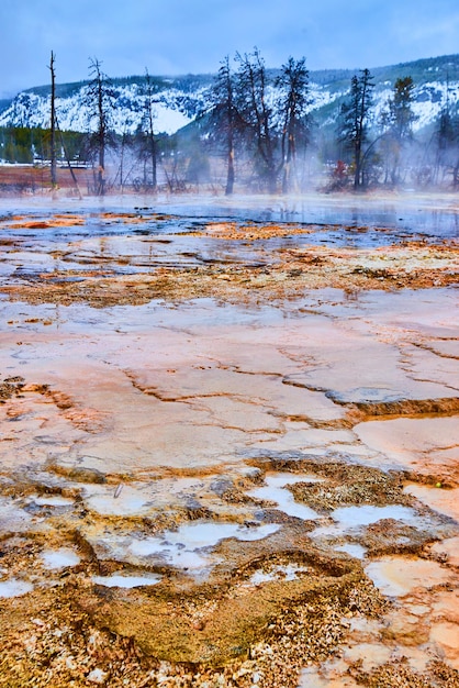 Małe tarasy ze słabo alkaliczną wodą z basenów w Yellowstone zimą