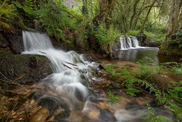 Małe wodospady utworzone przez rzekę Tripes w parku przyrody Mount Aloia Park na terenie Galicji w Hiszpanii