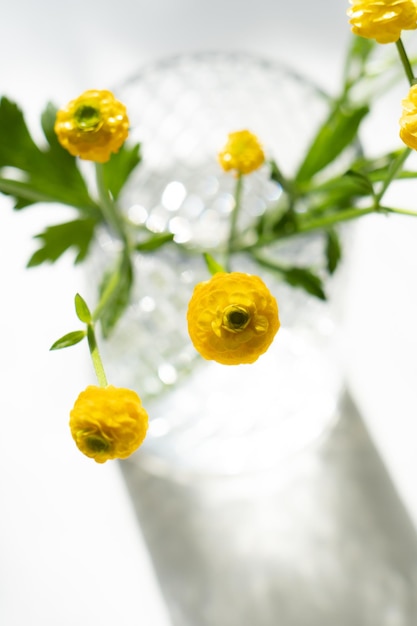 Małe żółte jaskry kwiaty w szklanym wazonie