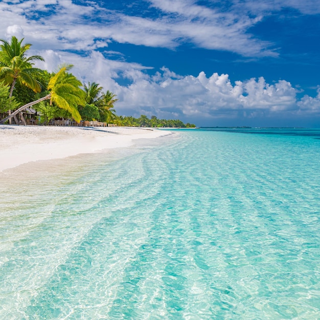 Malediwy brzeg wyspy. Tropikalny raj, morska laguna, nadmorskie palmy piaskowe. Niesamowity krajobraz