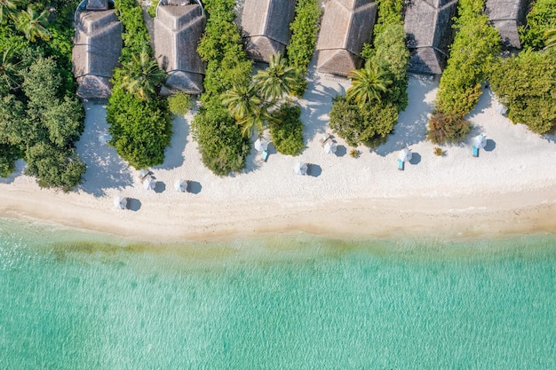 Malediwy lotnicze wyspa krajobraz. Tropikalne wybrzeże plaży z drona. Egzotyczna przyroda, palmy