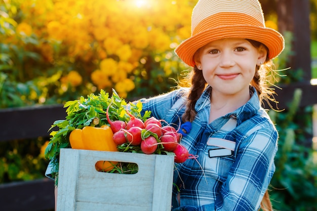 Małej dziewczynki mienia pudełko świezi organicznie warzywa