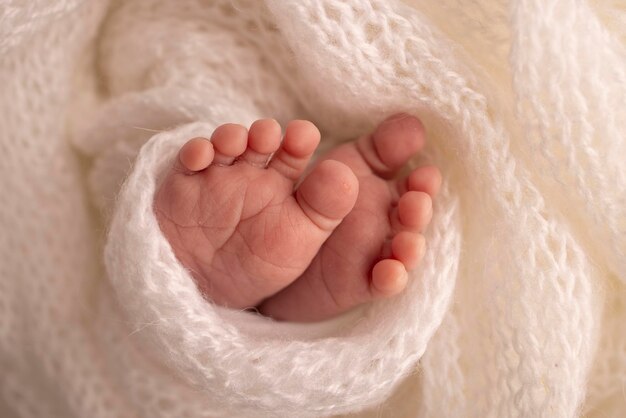 Maleńka stopa noworodka. Miękkie stopy noworodka w białym wełnianym kocu. Zbliżenie na palce, pięty i stopy noworodka. Studio fotografii makro. Szczęście kobiety. Fotografia, koncepcja.