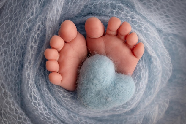 Maleńka stopa noworodka. Miękkie stopy noworodka w niebieskim kocu. Zbliżenie na palce, pięty i stopy noworodka. Dziane niebieskie serduszko w nogach dziecka. Studio fotografii makro. Pojęcie.