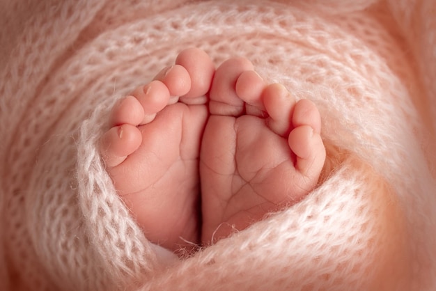 Maleńka stopa noworodka. Miękkie stopy noworodka w różowym wełnianym kocu. Zbliżenie na palce, pięty i stopy noworodka. Studio fotografii makro. Szczęście kobiety. Fotografia, koncepcja.
