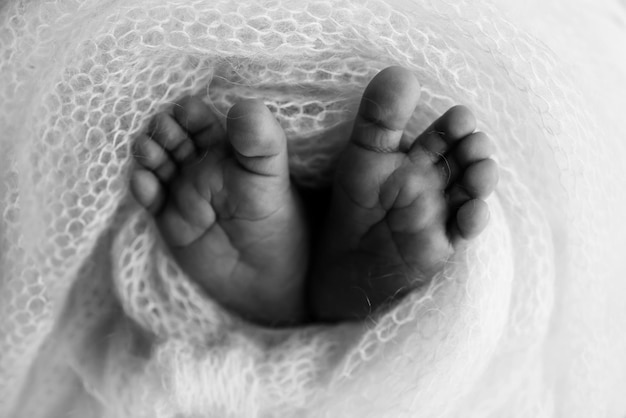 Maleńka stopa noworodka Miękkie stopy noworodka w wełnianym kocu Zbliżenie na palce, pięty i stopy noworodka Dziane serce w nogach dziecka Fotografia makro Czarno-biała