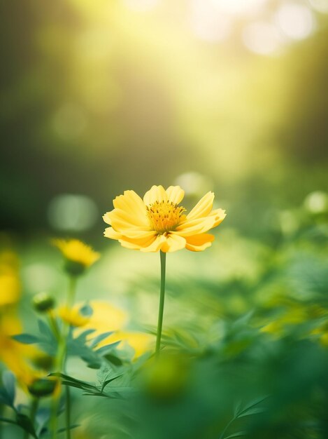 Maleńkie żółte kwiaty kwitnące w ogrodzie z pięknym światłem słonecznym i tłem Generative AI