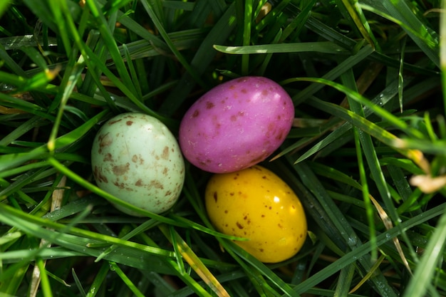 Mali Easter jajka gnieździli się w trawie