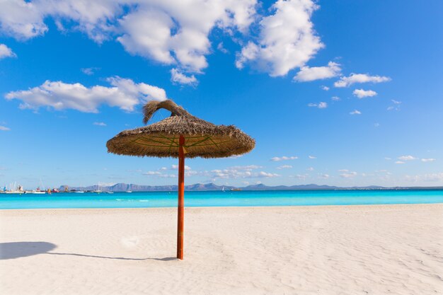 Mallorca Platja De Alcudia Beach Na Majorce