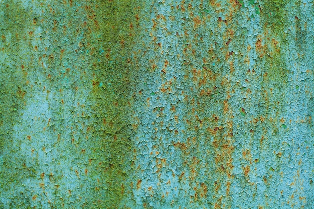 Malowana żelazna ściana w Czarnobylu Farba pęka, a na ścianie rośnie zielony mech Natura bije