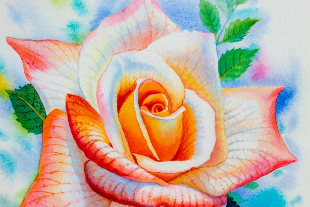 Malowanie Kwiatu Pomarańczowy Różowy Kolor Róż Z Bliska Akwarela Malowana Ilustracja