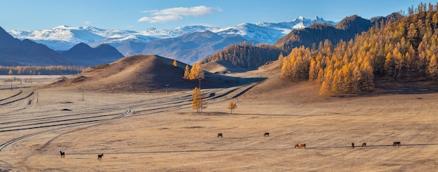 Malownicza dolina górska panoramiczny widok jesienny krajobraz wiejski