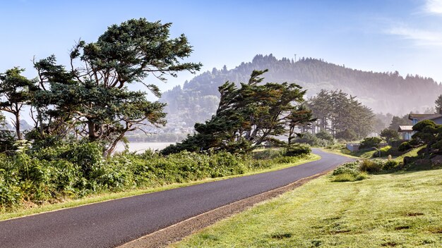 Malownicza Droga Wzdłuż Wybrzeża Pacyfiku Mgliste Góry W Tle Oregon Coast Usa