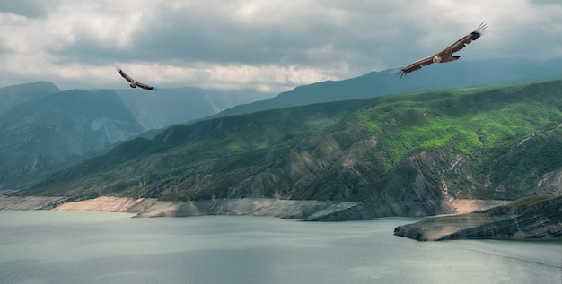 Malownicza panorama dzikiego raju, zielone góry spływające do wody. Zbiornik Chirkeyskoye jest największym sztucznym zbiornikiem na Kaukazie. Dagestan. Rosja.