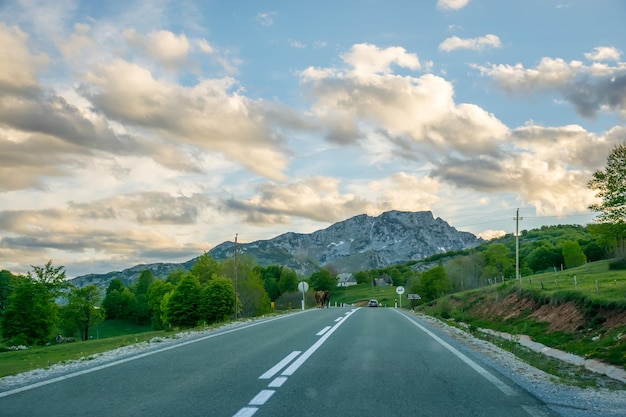 Malownicza podróż drogami Czarnogóry wśród skał i tuneli Rzeka Moraca