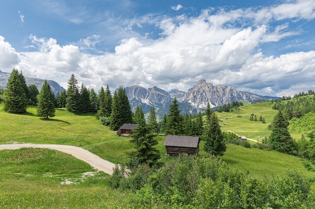 Malownicza ścieżka Przez Alpejską łąkę We Włoskich Dolomitach Do Uprawiania Turystyki Pieszej I Rowerowej.