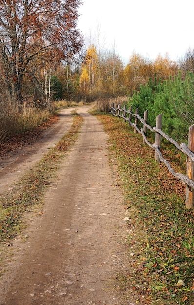 Zdjęcie malownicza wiejska droga nad piękną wiejską ogrodzoną drogą widok pionowy