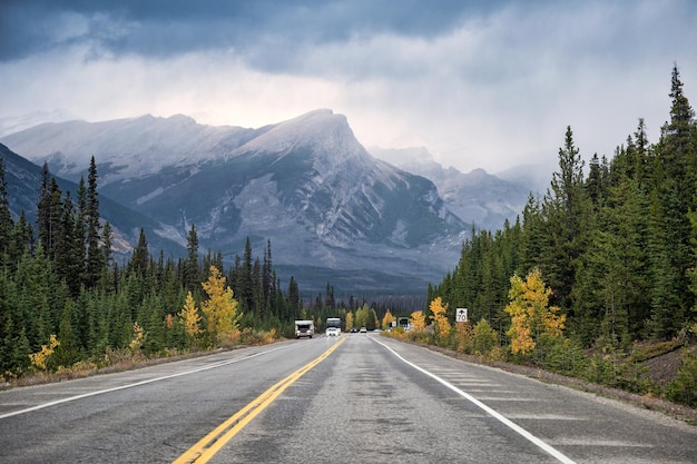 Malownicza wycieczka ze skalistej góry w jesiennym lesie sosnowym w parku narodowym Banff, Kanada