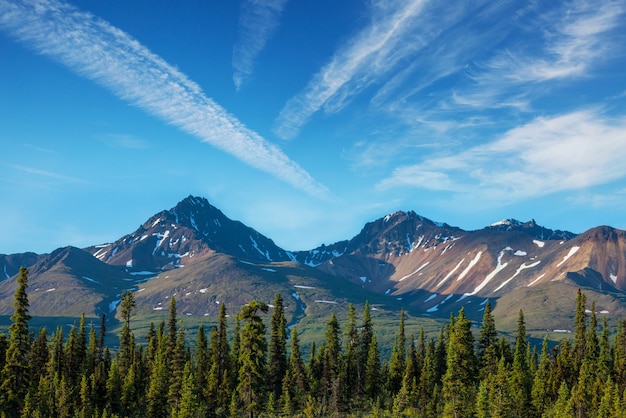 Malownicze góry Alaski. Pokryte śniegiem masywy, lodowce i skaliste szczyty.