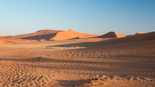 Malownicze grzbiety wydm w Sossusvlei, Park Narodowy Namib Naukluft