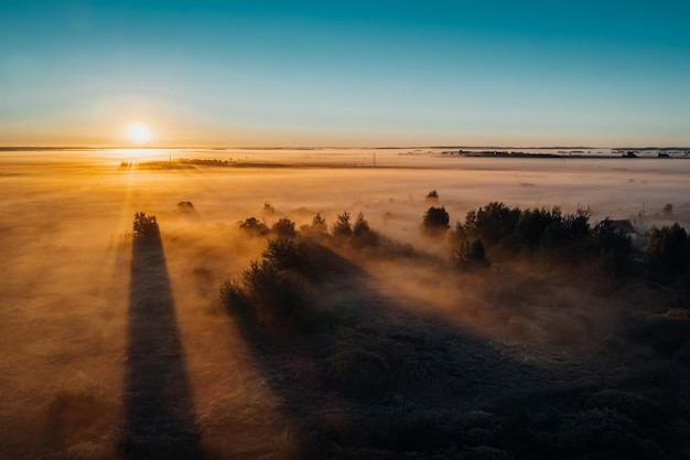 Zdjęcie malownicze jesienne pola z mgłą i słońcem wczesnym rankiem długie cienie drzew na polu