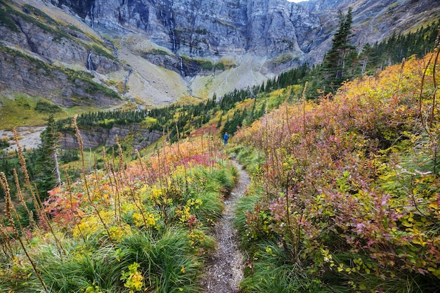 Malownicze skaliste szczyty Glacier National Park, Montana, USA. Piękne naturalne krajobrazy.